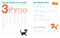 Chicka Chicka Boom Boom Learn to Write Workbook for Preschoolers by Bill Martin Jr