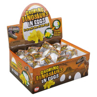 Growing Dinosaur Egg