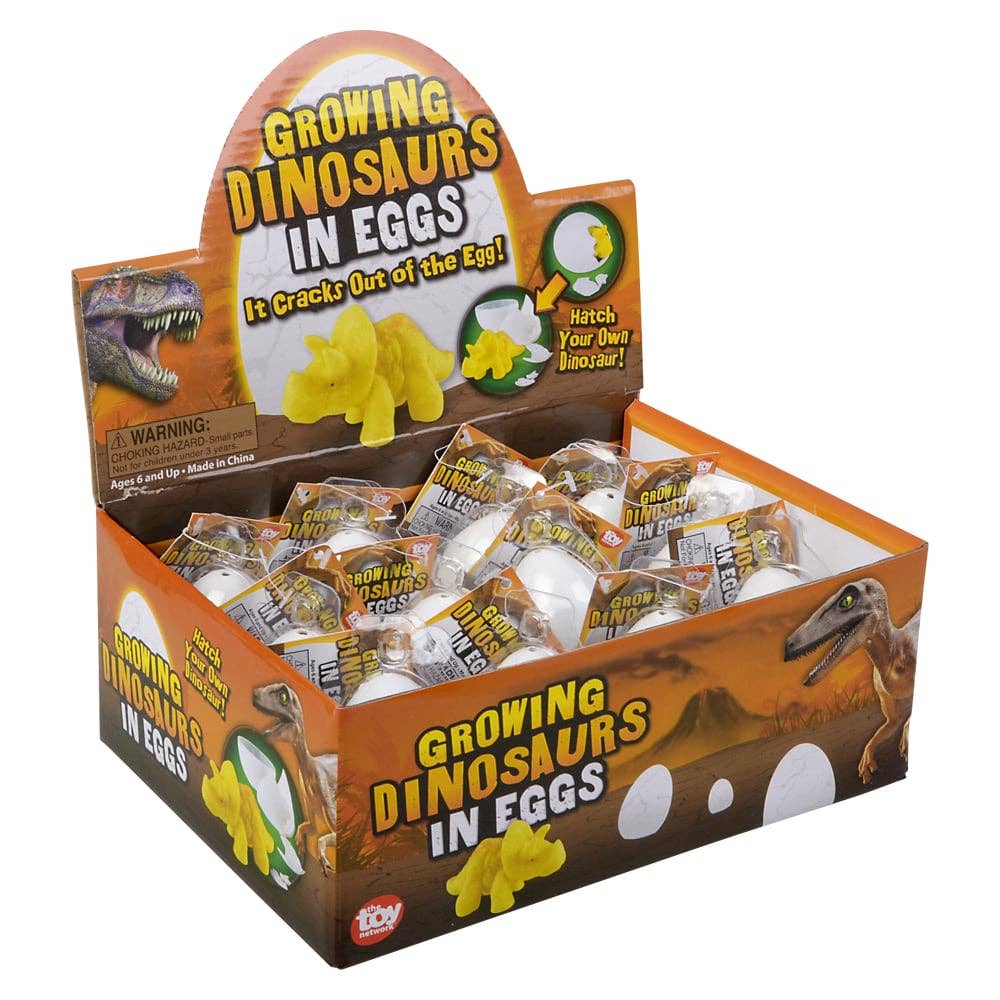 Growing Dinosaur Egg