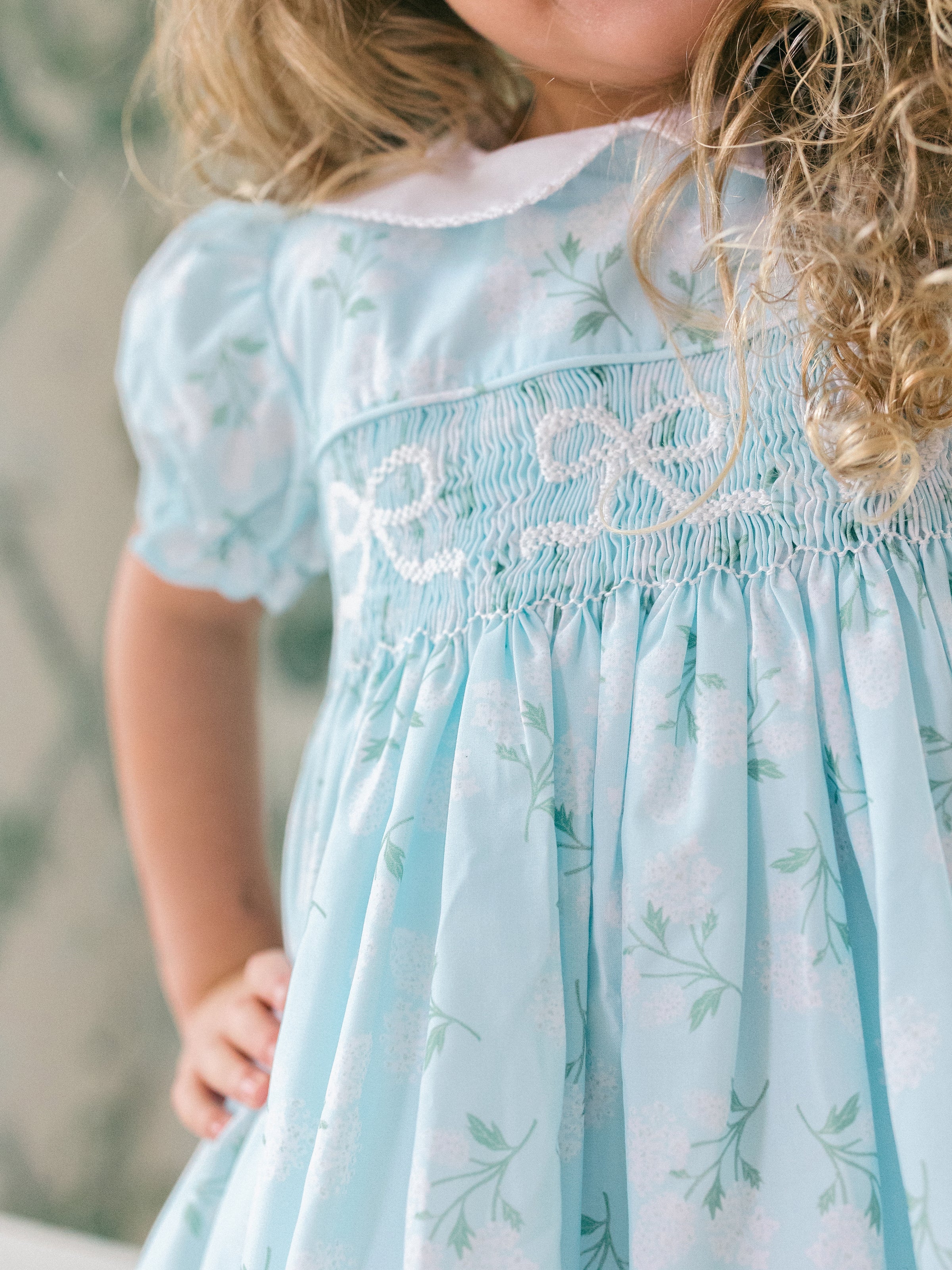 Collared Hydrangea Dress