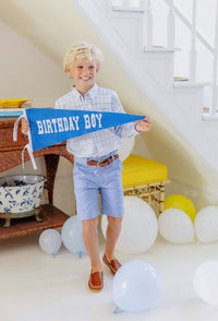 Birthday Boy Picture Pennant