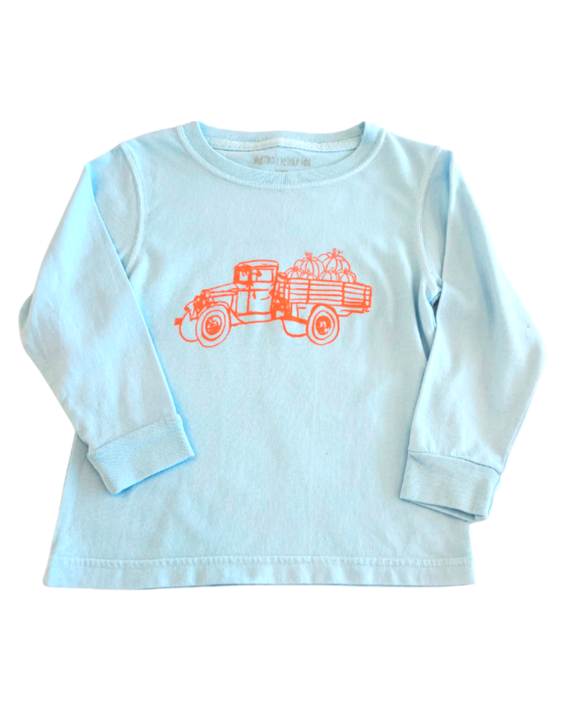 Long Sleeve Light Blue Truck with Pumpkins T-Shirt- M(8/10)