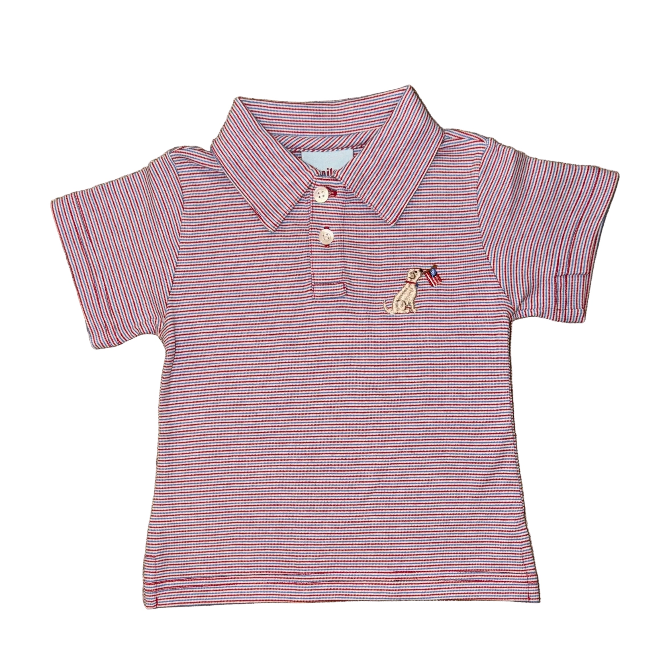 Red and Blue Stripe Flag Polo
