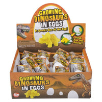 Growing Dinosaur Egg