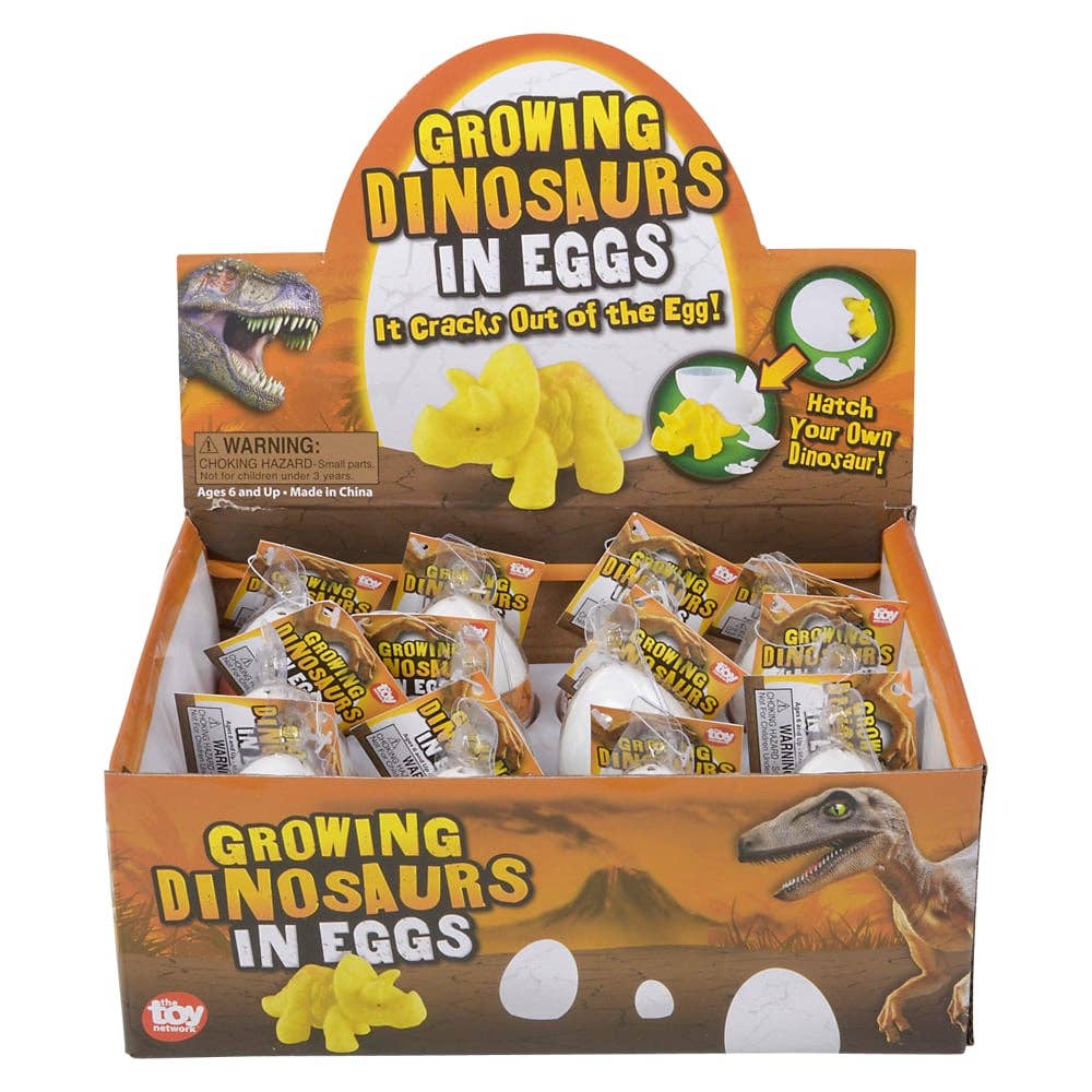 Growing Dinosaur Egg