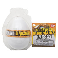 Growing Dinosaur Egg