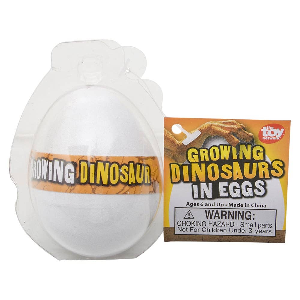 Growing Dinosaur Egg