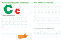 Chicka Chicka Boom Boom Learn to Write Workbook for Preschoolers by Bill Martin Jr