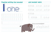 Chicka Chicka Boom Boom Learn to Write Workbook for Preschoolers by Bill Martin Jr