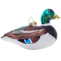 Holiday Glass Ornament – Majestic Mallard