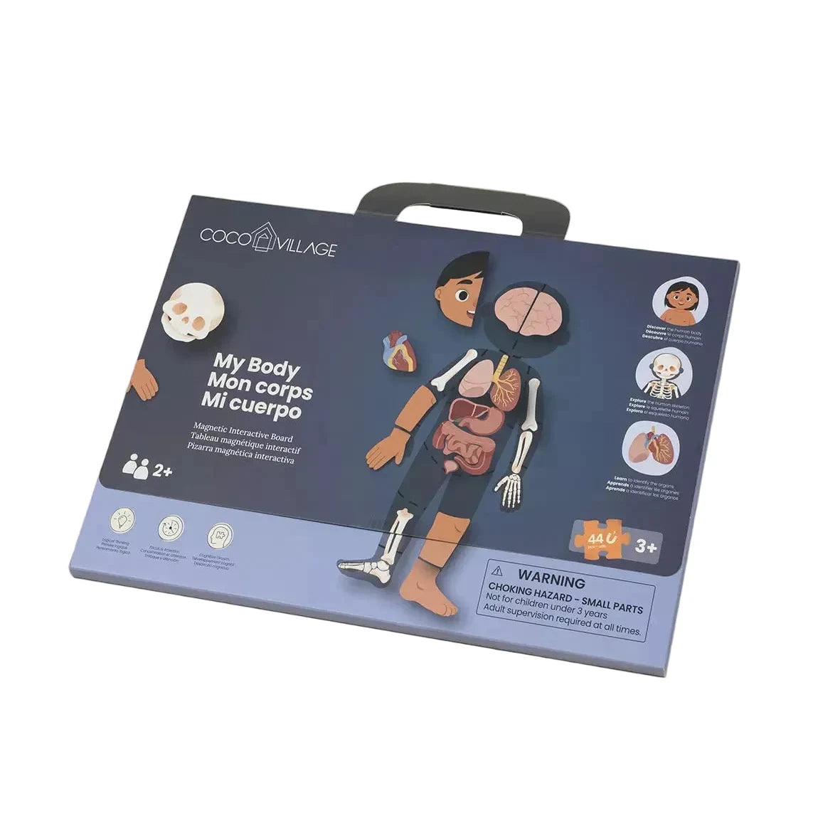 Magnetic Interactive Board – My Body