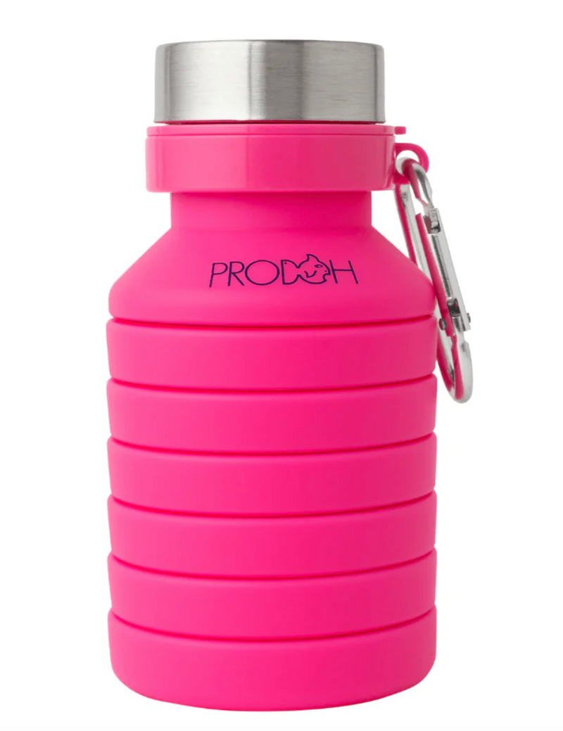 Sangria Pink Collapsible Water Bottle